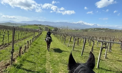 Passeggiata a cavallo con vista sul Gran Sasso al Rio Tavo Horse Club